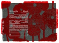 a red poppy on a black background